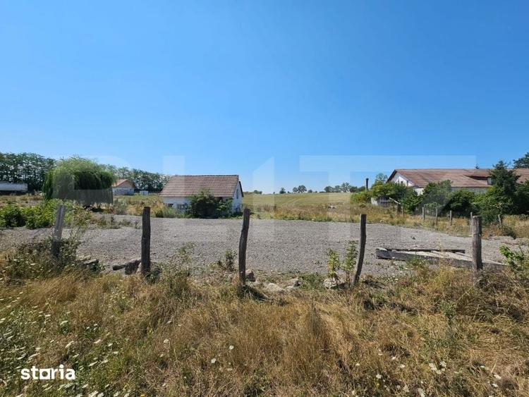 Teren de 4000 mp, în Pianu
