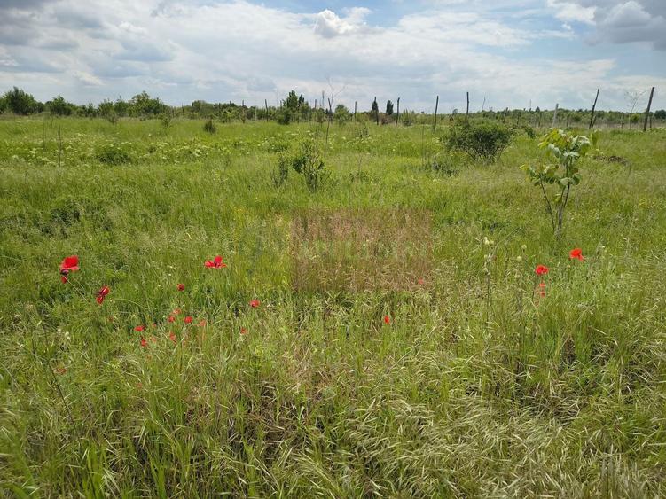 Teren Construcții intravilan de 3750 mp, în Giulești