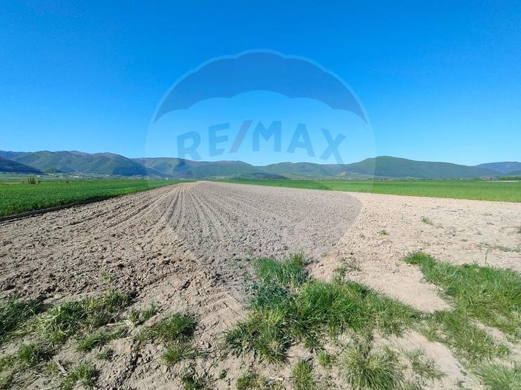 Teren agricol extravilan de 1724 mp, în Gura Râului