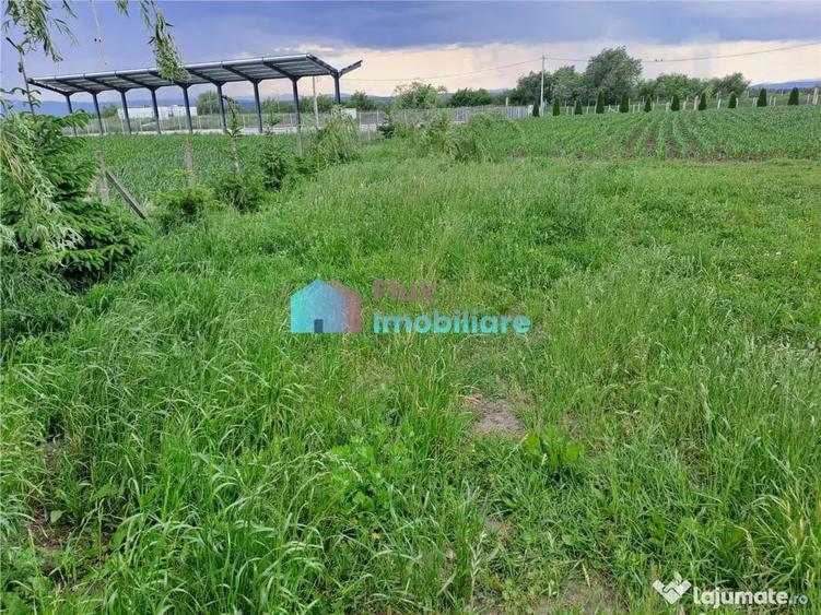 Casă cu 6 camere cu Teren 10000 Mp în Fântâna Mare