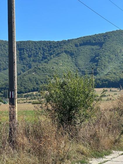Teren Construcții intravilan de 14000 mp, în Bartolomeu