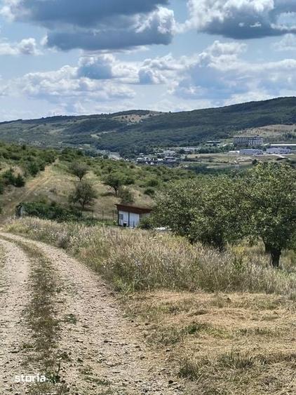Teren de 8000 mp, în Baciu