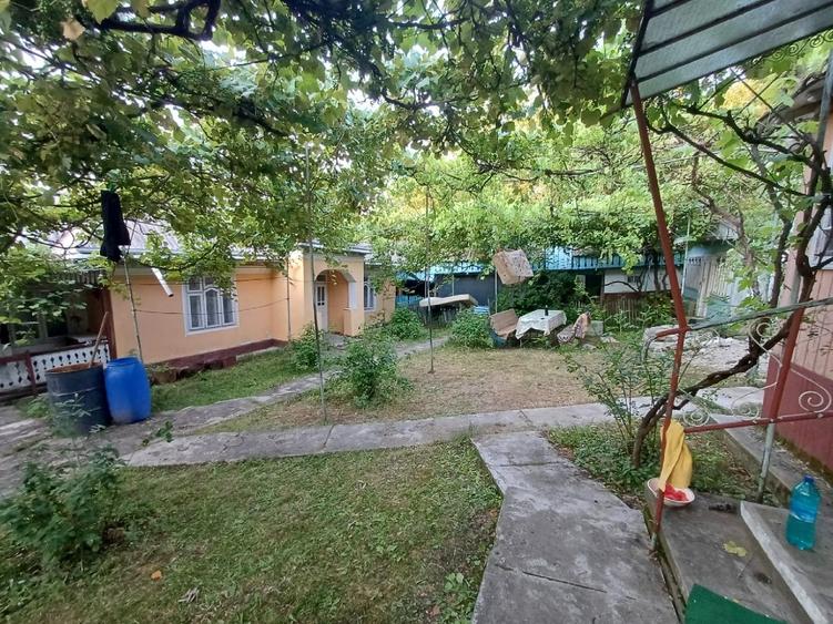 casa  cu 6500mp teren intravilan - 10