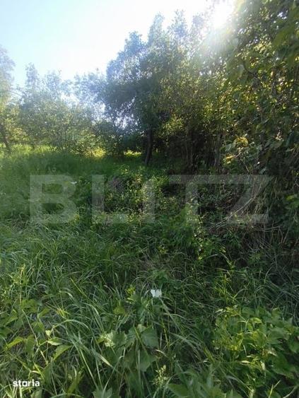 Teren Intravilan De Vanzare - Lunca Muresului 700 Mp - 6