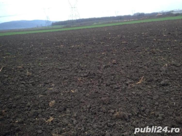 Teren de 4300 mp, în Movila Miresii