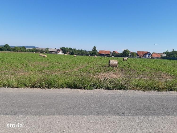 Teren intravilan construibil utilitati asfalt central Lunca Calnicului - 3
