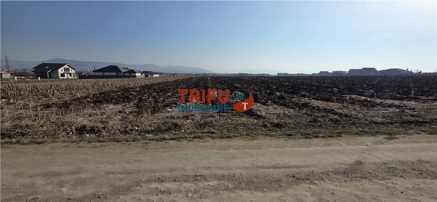 Teren Construcții intravilan de 2097 mp, în Ampoi 1