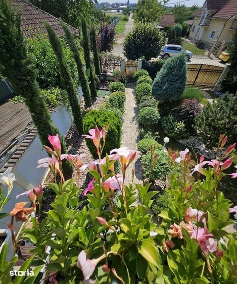 Casă cu 4 camere cu Teren 1229 Mp în Rontău