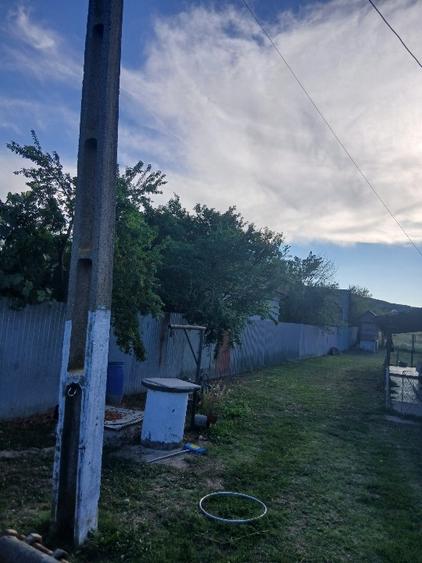 Casă individuală cu 3 camere cu Teren 4501 Mp în Livezi