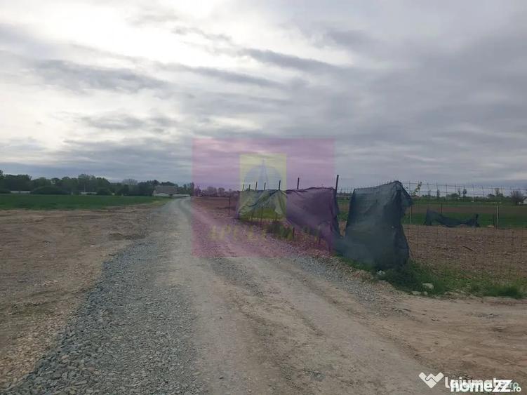 Teren în Sud