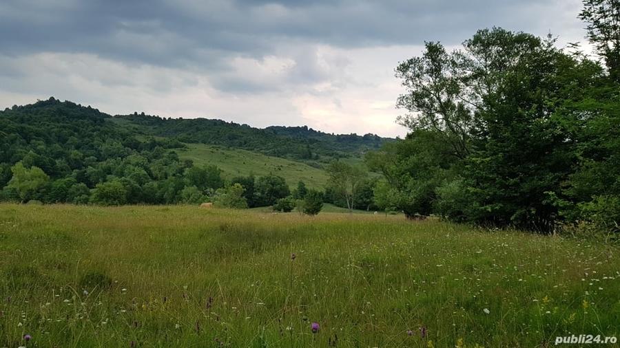 Teren de 3013 mp, în Valea