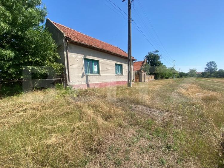 Teren Construcții intravilan de 7000 mp, în Chevereșu Mare