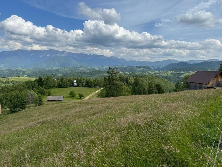 Teren Construcții extravilan de 5392 mp, în Peștera
