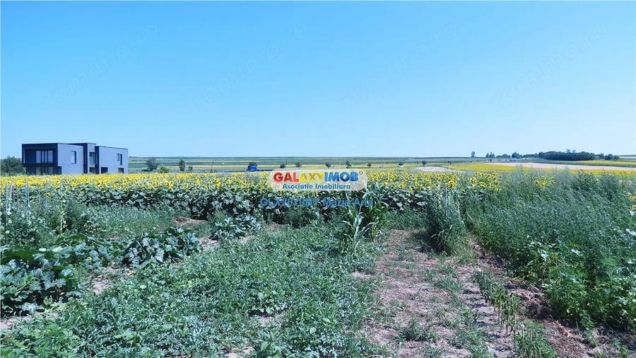 Casă cu Teren 10000 Mp în Central