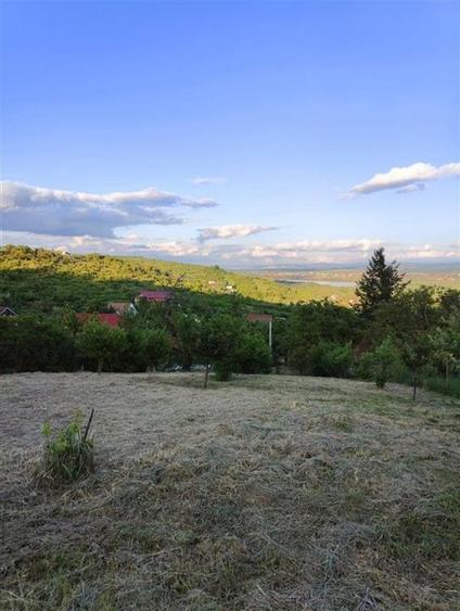 Teren Construcții intravilan de 1765 mp, în Podgoria