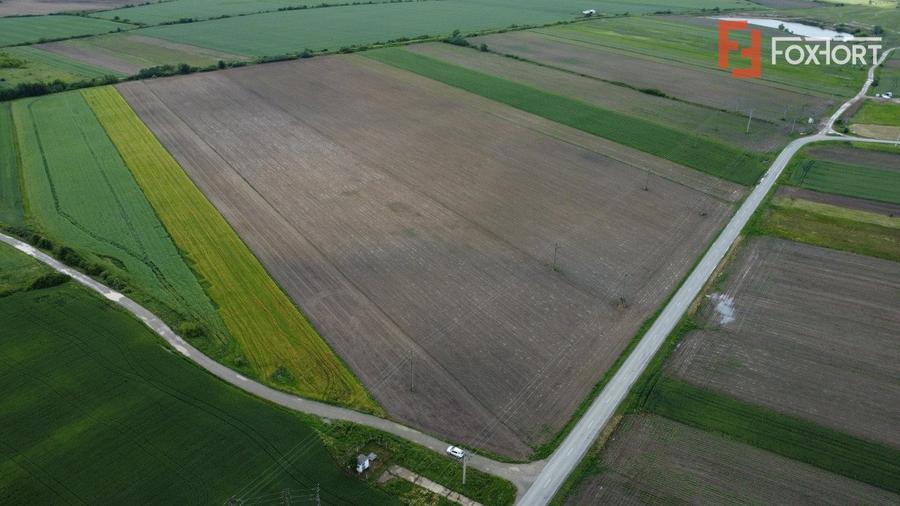 Teren Construcții intravilan de 40600 mp, în Bucovăț (Remetea Mare)