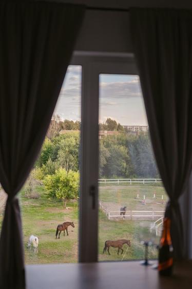 Apartament 2 camere | Mamaia Sat | Mobilat-utilat partial | Loc parcare acoperit - 17