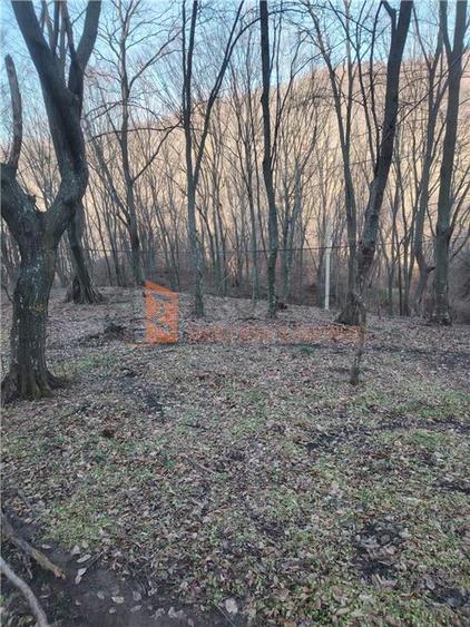 Teren intravilan de 1000 mp, în Sărata-Monteoru