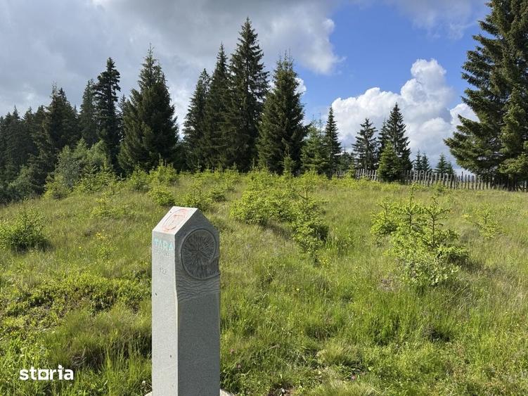 Teren de 18980 mp, în Dorna Candrenilor