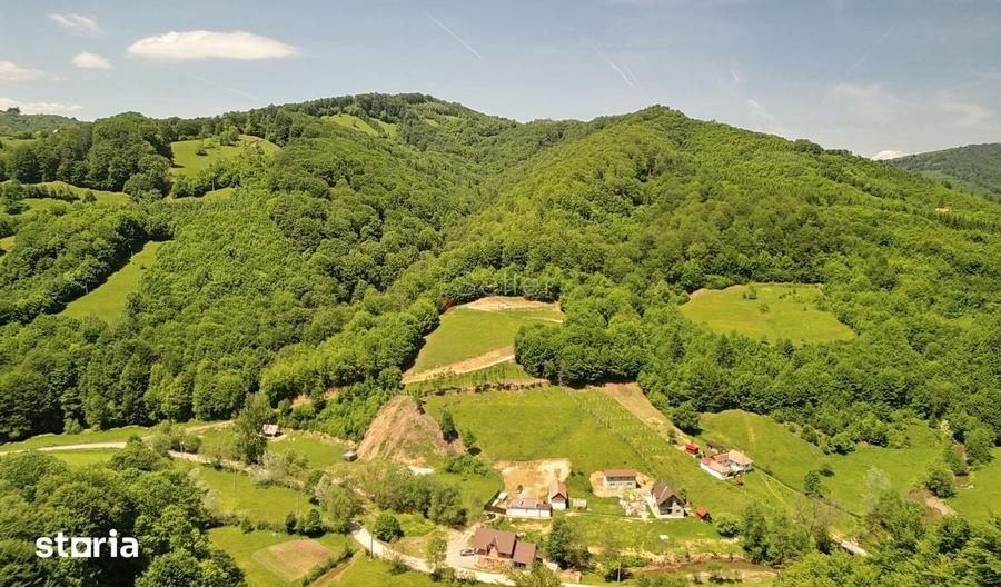 Teren de 16000 mp, în Holbav