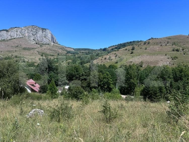 Teren extravilan de 6000 mp, în Aiudul de Sus