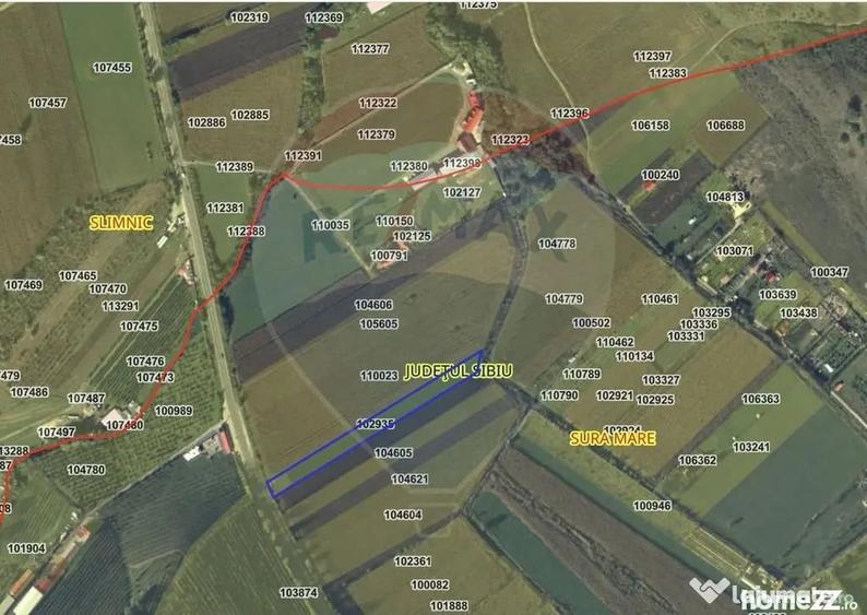 Pozi?ie excelenta pentru desfacere produse agricole sau investi?ie - Sura Mare (Sibiu) - 1