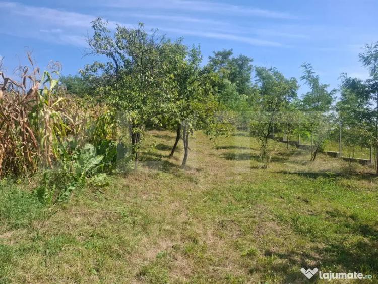 Casă cu 7 camere cu Teren 1832 Mp în Glod