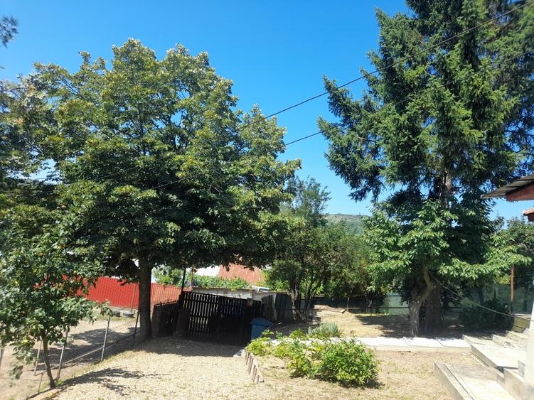Casă individuală cu 3 camere cu Canalizare în Orzoaia de Sus