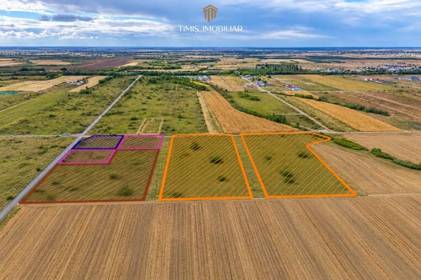 Teren Construcții intravilan de 620 mp, în Moșnița Nouă