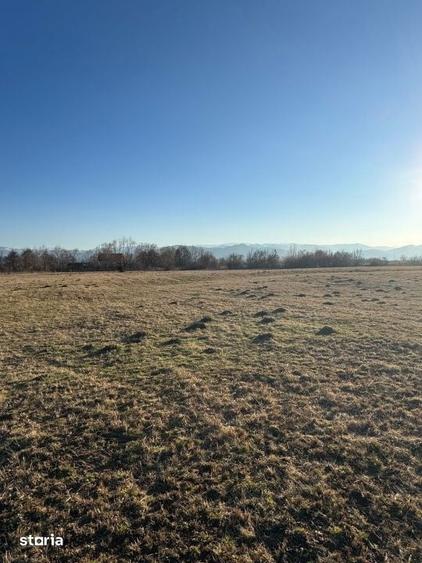Oaza de liniste cu vedere la munti 2.400 mp langa Aeroportul Sibiu - 8