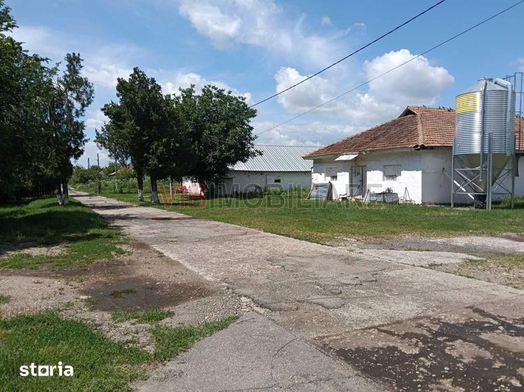 Teren de 80000 mp, în Central