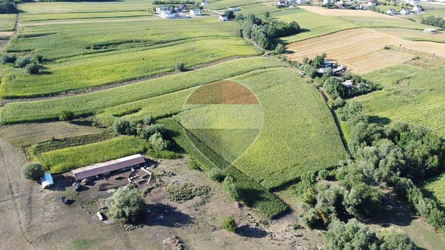 Teren agricol intravilan de 4400 mp, în Moara