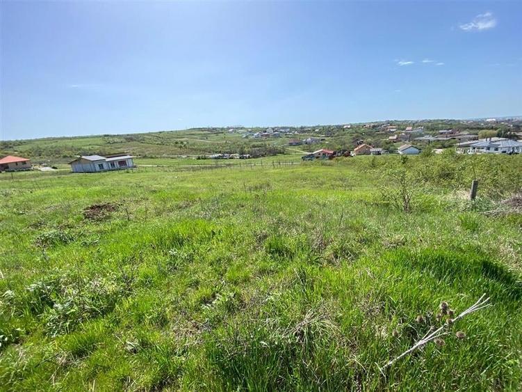 Teren Construcții intravilan de 771 mp, în Oncea
