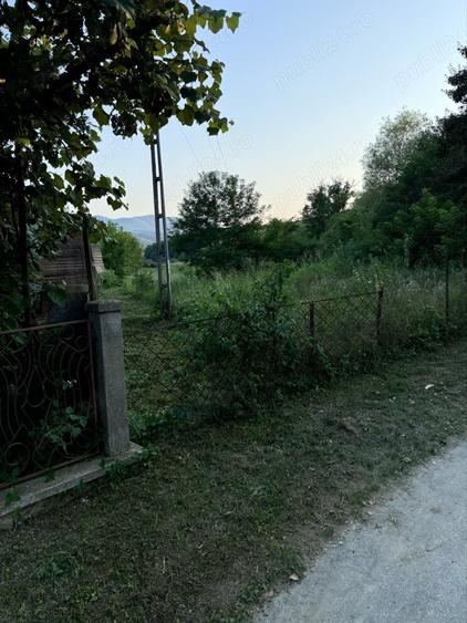 Teren de 4450 mp, în Șoimuș