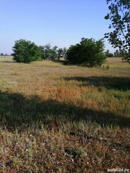 Teren intravilan 500 mp Comuna Bratovoiesti sat Prunet( Sta?iunea Victoria) jud Dol - 1