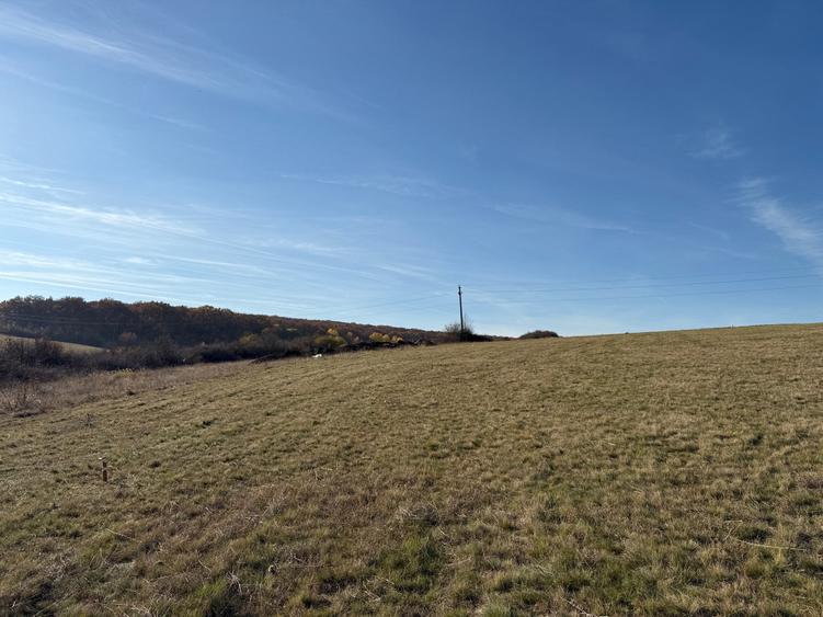 Teren agricol extravilan de 567 mp, în Rusciori