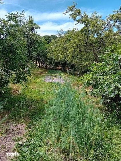 Vand teren 2986 mp + casa 5 camere, Dobrogostea, Jud Arges - 3