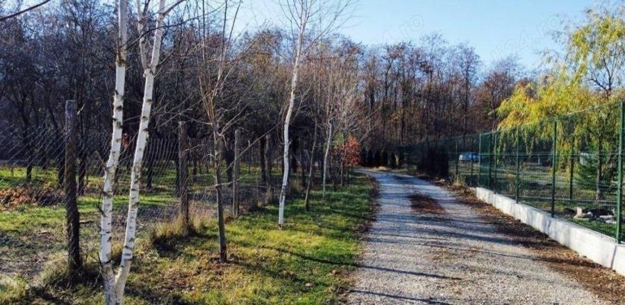 Teren de 510 mp, în Siliștea Snagovului