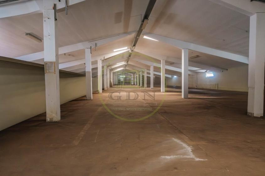 Spațiu industrial, de 4,100 mp, în Florești