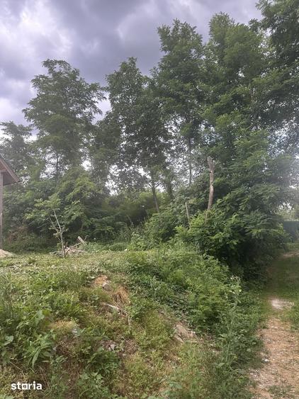 Teren de 600 mp, în Cornu