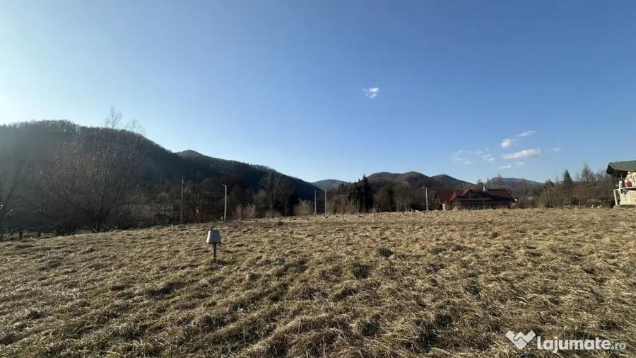 Teren în Firiza