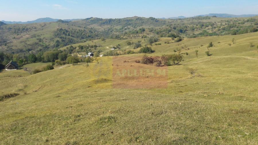 Teren agricol intravilan de 9037 mp, în Plaiul Tălii