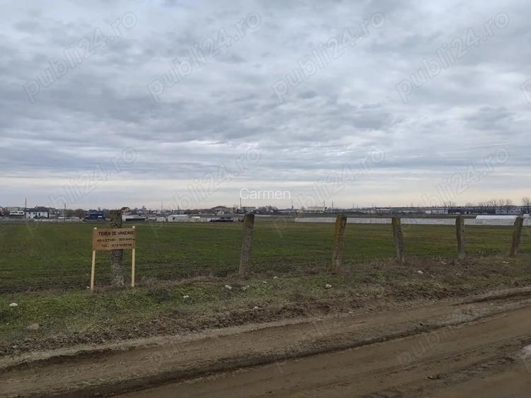Teren de vanzare pentru case parcele , Caracal, str. Artarului