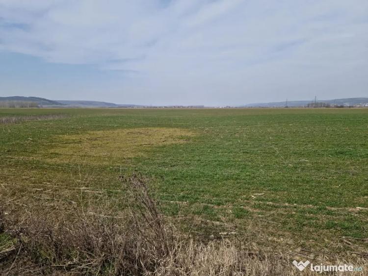 Teren de 3300 mp, în Șimnicu de Sus