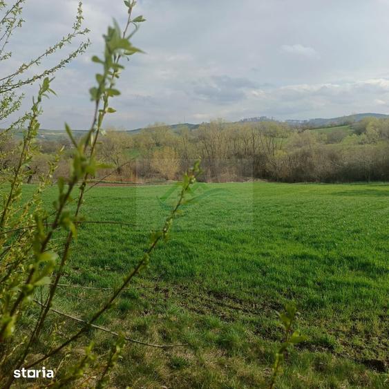 Teren de 3200 mp, în Bosanci