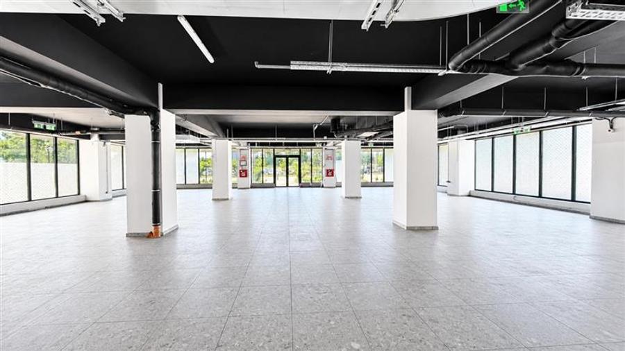Spatiu Comercial Showroom 425mp Himson Aurel Vlaicu - 3