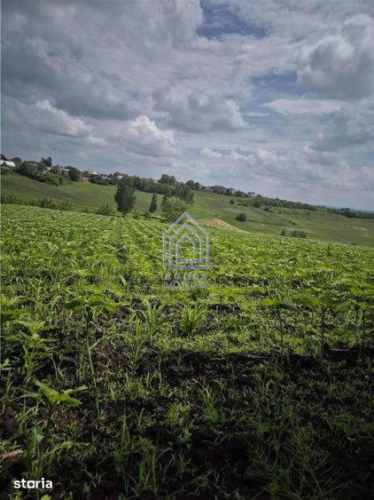 Teren intravilan Moara Nica - zona Scolii - 9
