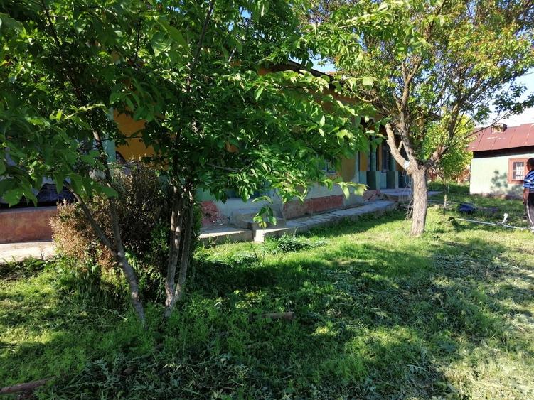 Casă cu 4 camere cu Teren 2300 Mp în Sud