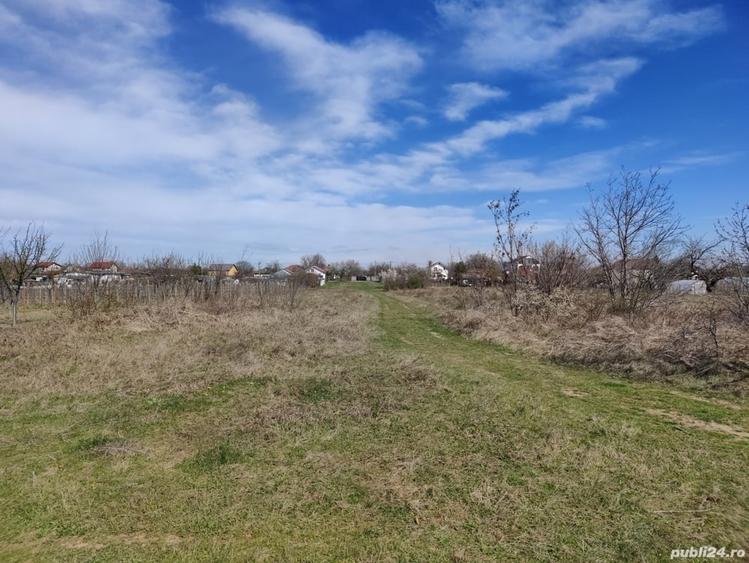 Teren de 4667 mp, în Coșoveni