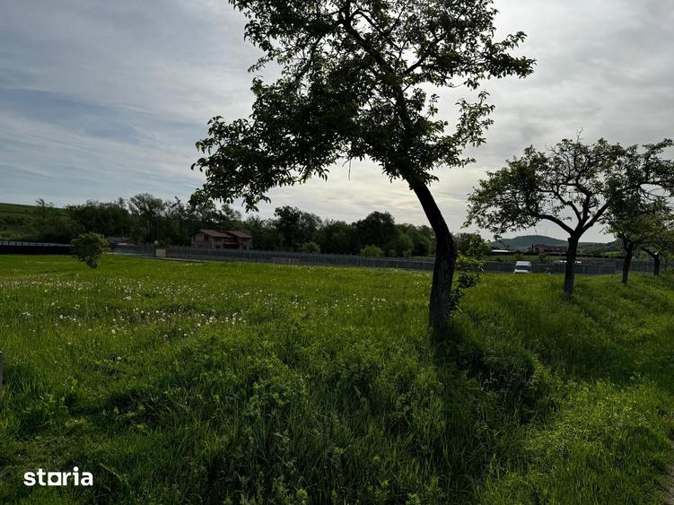 Teren de 2300 mp, în Gârcina
